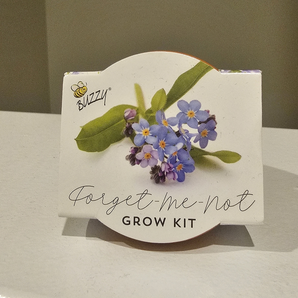 Forget me not and cactus mini grow kit